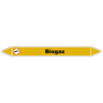 Biogaz