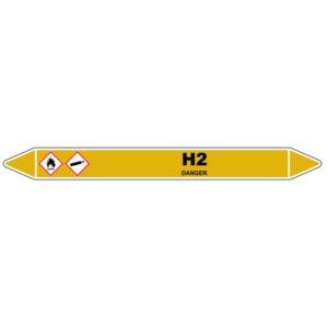 H2