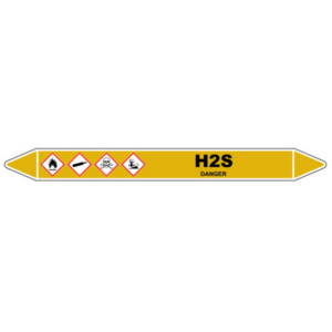 H2S