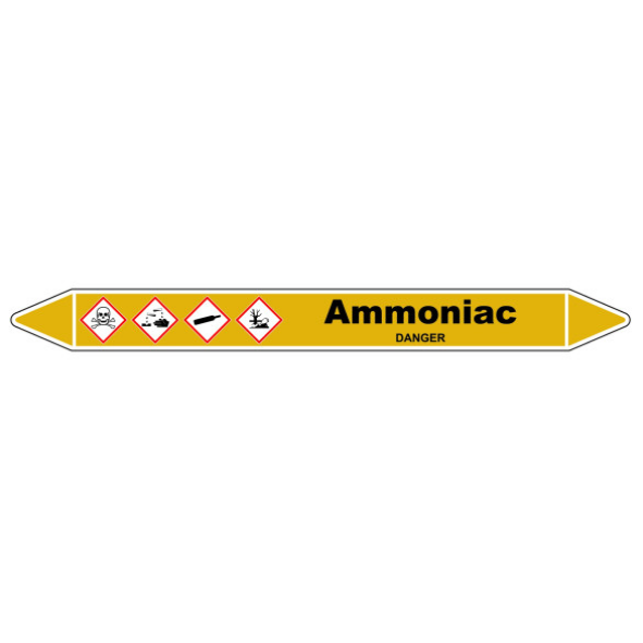 Tuyauterie Ammoniac Tuyauterie Ammoniac